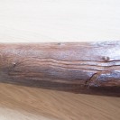 Vends didgeridoo sandwich eucalyptus